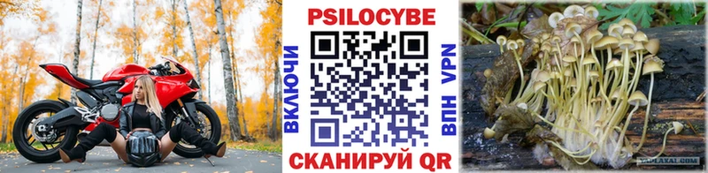 Галлюциногенные грибы MAGIC MUSHROOMS Тосно