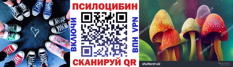 цена наркотик  Тосно  kraken ссылки  Галлюциногенные грибы Magic Shrooms 